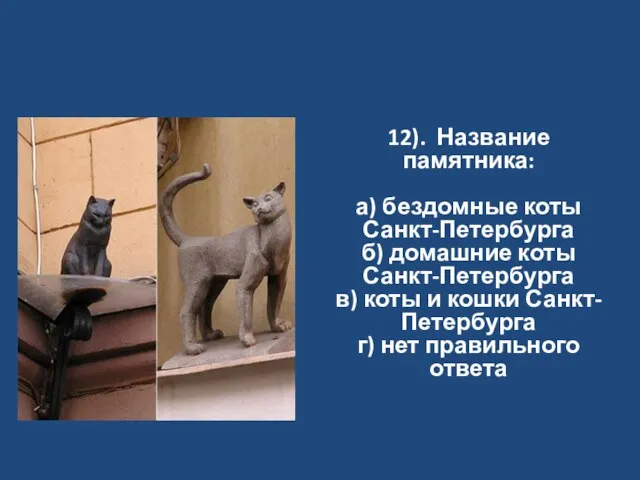 12). Название памятника: а) бездомные коты Санкт-Петербурга б) домашние коты