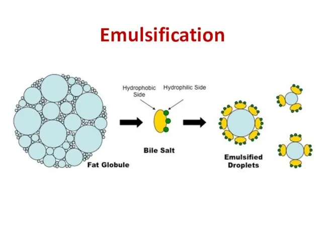 Emulsification