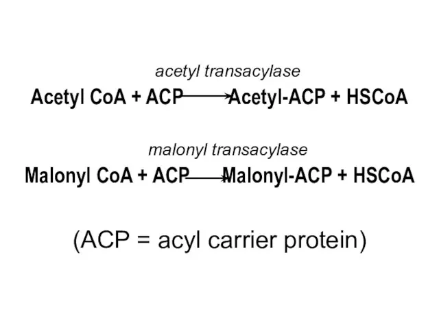 Acetyl CoA + ACP Acetyl-ACP + HSCoA Malonyl CoA +