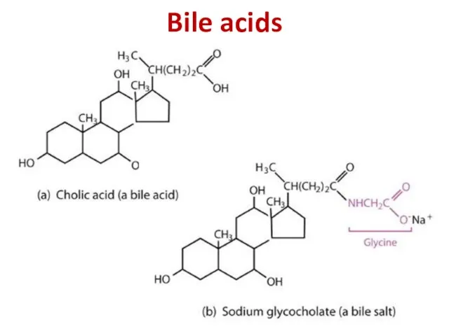 Bile acids