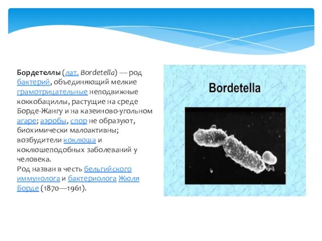 Бордетеллы (лат. Bordetella) — род бактерий, объединяющий мелкие грамотрицательные неподвижные