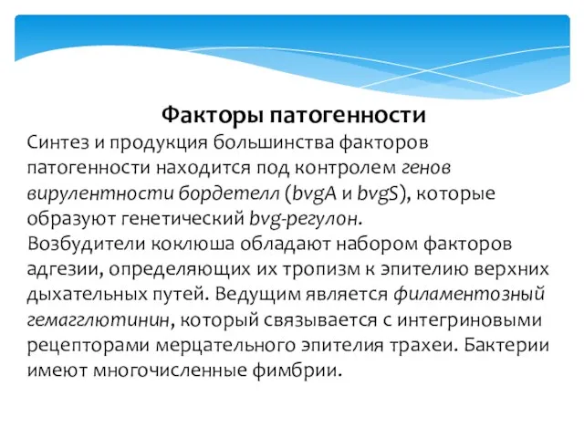 Факторы патогенности Синтез и продукция большинства факторов патогенности находится под