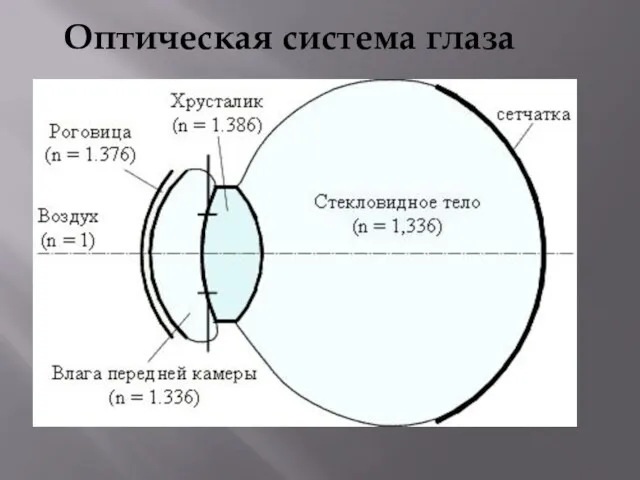 Оптическая система глаза