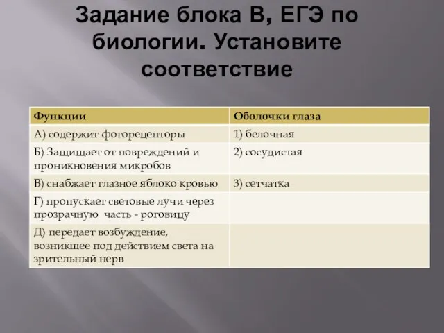 Задание блока В, ЕГЭ по биологии. Установите соответствие