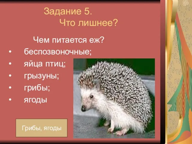 Задание 5. Что лишнее? Чем питается еж? беспозвоночные; яйца птиц; грызуны; грибы; ягоды Грибы, ягоды