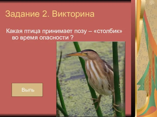 Задание 2. Викторина Какая птица принимает позу – «столбик» во время опасности ? Выпь