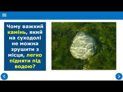 Чому важкий камінь, який на суходолі не можна зрушити з місця, легко підняти під водою?