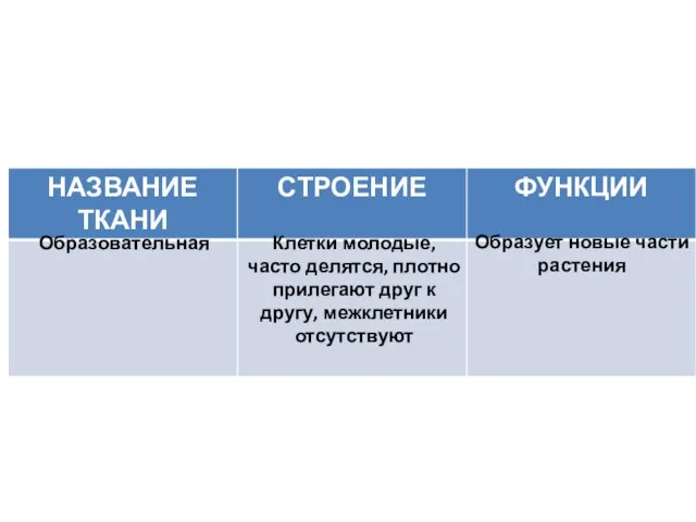 Клетки молодые, часто делятся, плотно прилегают друг к другу, межклетники отсутствуют Образовательная Образует новые части растения