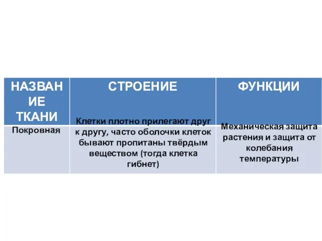 Покровная Клетки плотно прилегают друг к другу, часто оболочки клеток