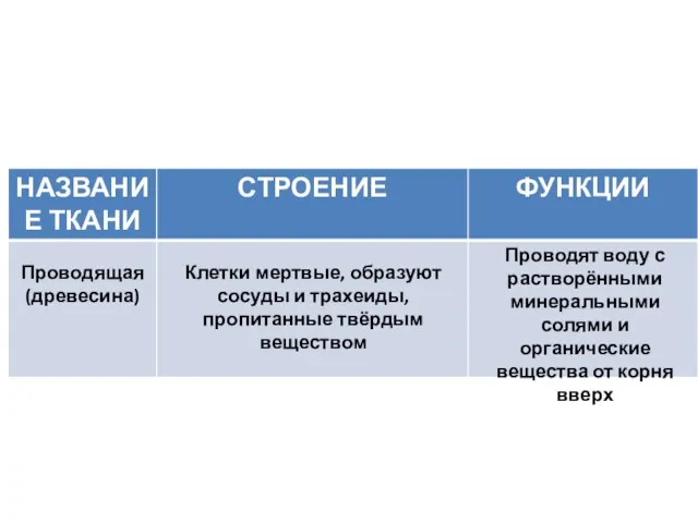 Клетки мертвые, образуют сосуды и трахеиды, пропитанные твёрдым веществом Проводящая