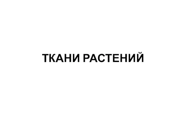 ТКАНИ РАСТЕНИЙ