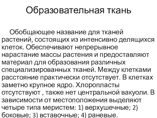 Образовательная ткань Обобщающее название для тканей растений, состоящих из интенсивно