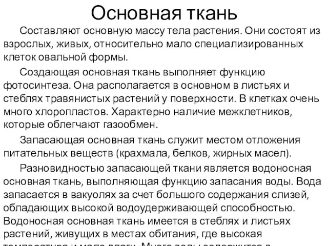 Основная ткань Составляют основную массу тела растения. Они состоят из