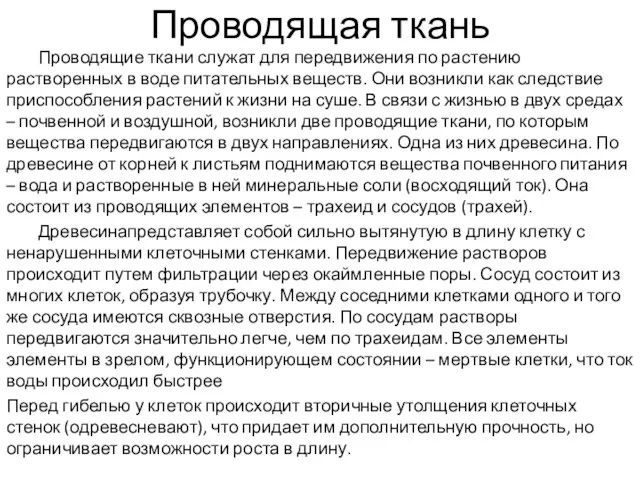 Проводящие ткани служат для передвижения по растению растворенных в воде