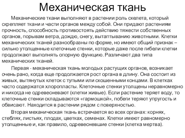 Механическая ткань Механические ткани выполняют в растении роль скелета, который