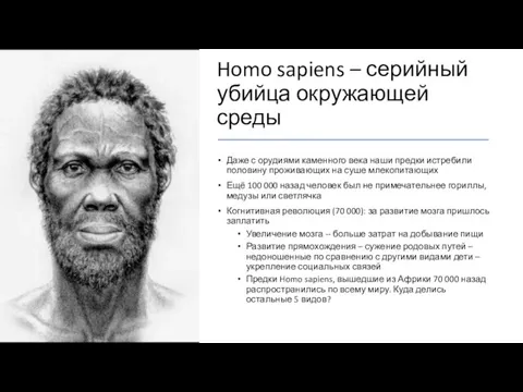 Homo sapiens – серийный убийца окружающей среды Даже с орудиями каменного века наши