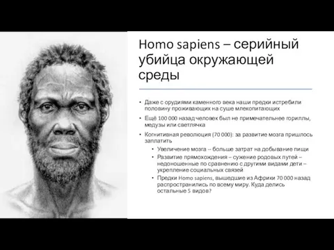 Homo sapiens – серийный убийца окружающей среды Даже с орудиями