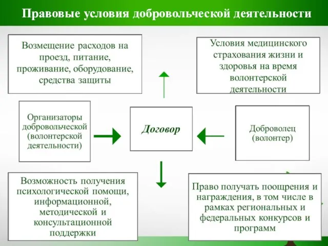 Правовые условия добровольческой деятельности