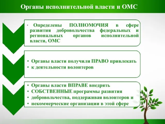 Органы исполнительной власти и ОМС