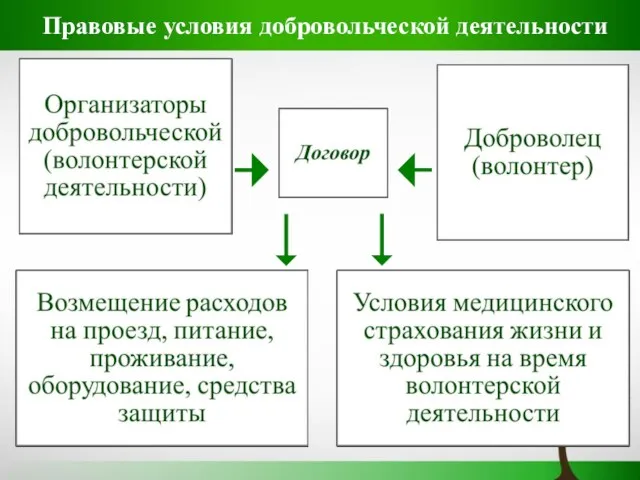 Правовые условия добровольческой деятельности