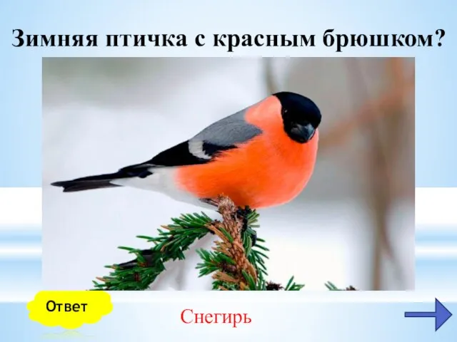 Зимняя птичка с красным брюшком? Снегирь Ответ
