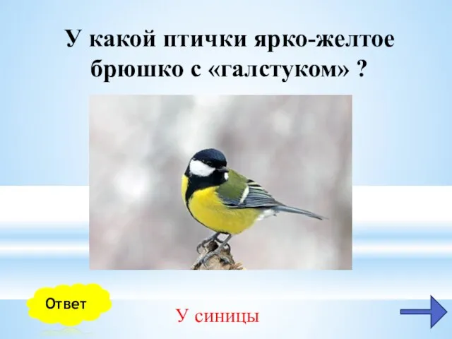 У какой птички ярко-желтое брюшко с «галстуком» ? У синицы Ответ