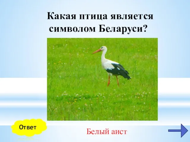 Какая птица является символом Беларуси? Ответ Белый аист