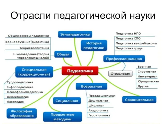 Отрасли педагогической науки