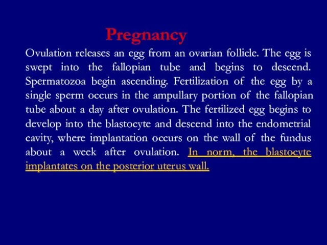 Ovulation releases an egg from an ovarian follicle. The egg