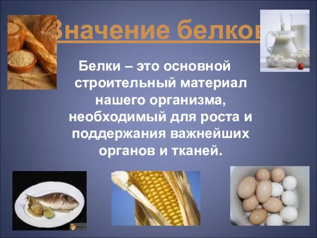 Значение белков Белки – это основной строительный материал нашего организма,