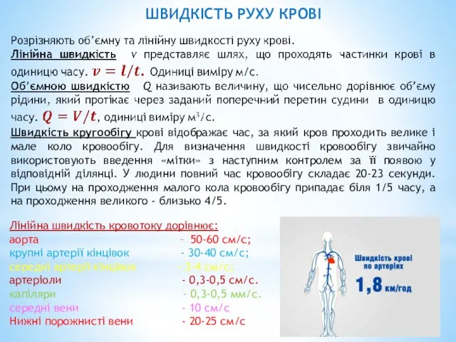 Лінійна швидкість кровотоку дорівнює: аорта – 50-60 см/с; крупні артерії