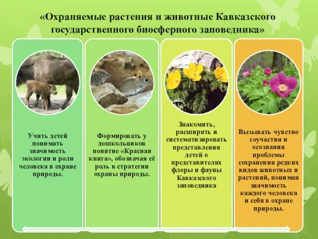 «Охраняемые растения и животные Кавказского государственного биосферного заповедника»