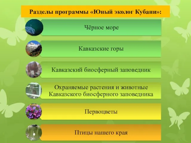 Разделы программы «Юный эколог Кубани»: