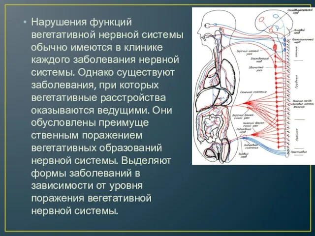 Нарушения функций вегетативной нервной системы обычно имеются в клинике каждого заболевания нервной системы.