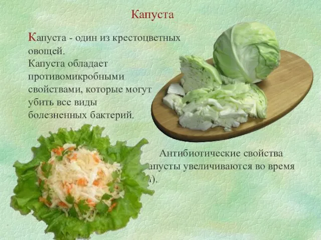 Капуста - один из крестоцветных овощей. Капуста обладает противомикробными свойствами, которые могут убить