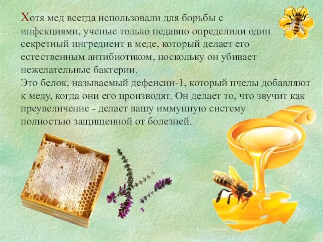 Хотя мед всегда использовали для борьбы с инфекциями, ученые только недавно определили один