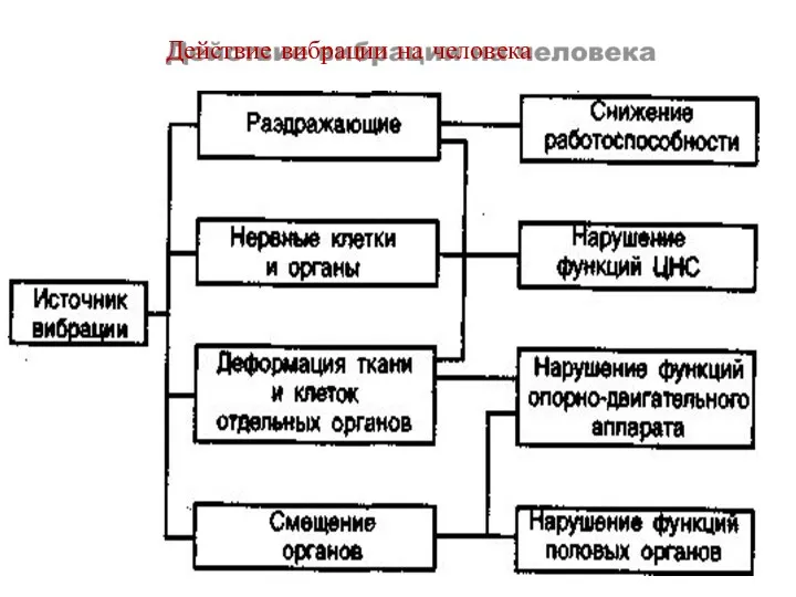 Действие вибрации на человека