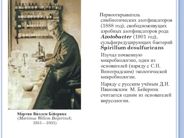 Ма́ртин Ви́ллем Бе́йеринк (Martinus Willem Beijerinck; 1851—1931) Первооткрыватель симбиотических азотфиксаторов