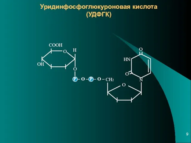 Уридинфосфоглюкуроновая кислота (УДФГК)