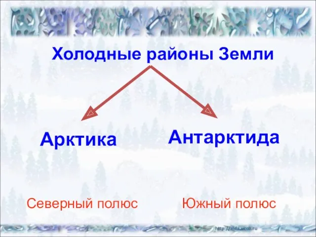 Холодные районы Земли Арктика Антарктида Северный полюс Южный полюс