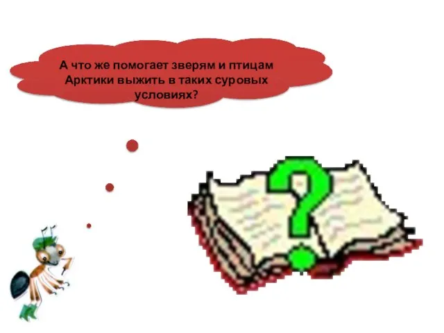 А что же помогает зверям и птицам Арктики выжить в таких суровых условиях?