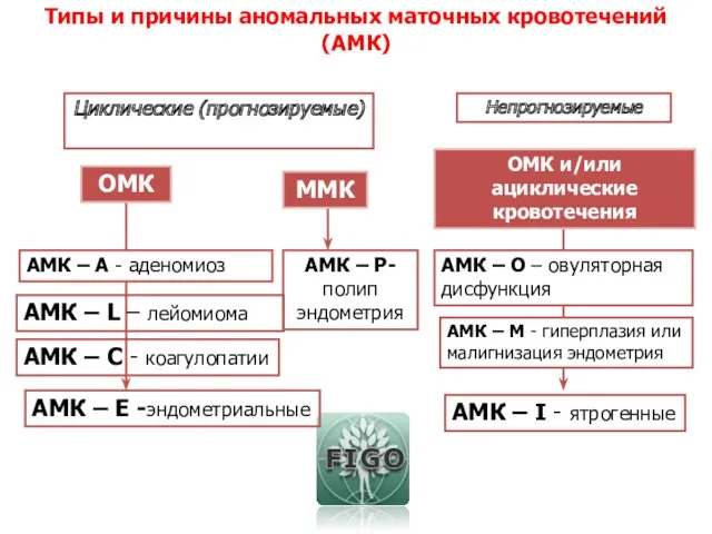 Типы и причины аномальных маточных кровотечений (АМК) Циклические (прогнозируемые) Непрогнозируемые