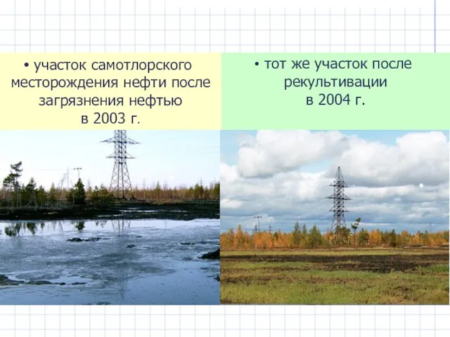 участок самотлорского месторождения нефти после загрязнения нефтью в 2003 г.