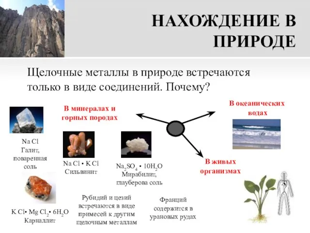 НАХОЖДЕНИЕ В ПРИРОДЕ Щелочные металлы в природе встречаются только в