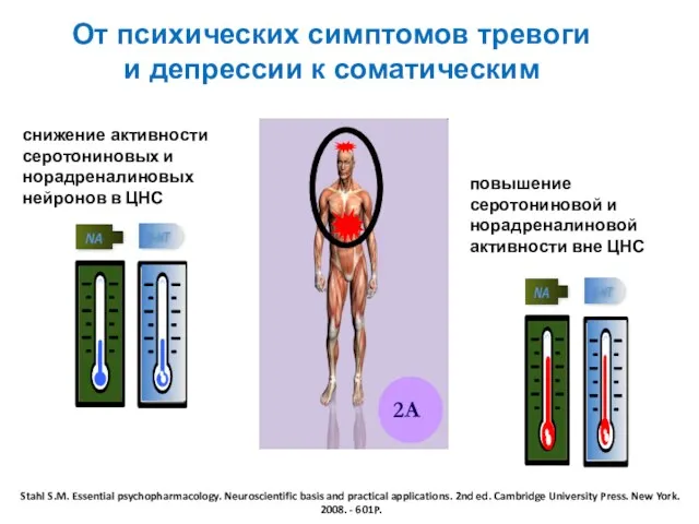 От психических симптомов тревоги и депрессии к соматическим 2A снижение