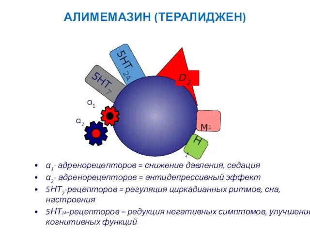 АЛИМЕМАЗИН (ТЕРАЛИДЖЕН) 5HT2A 5НТ7 D2 α1- адренорецепторов = снижение давления,