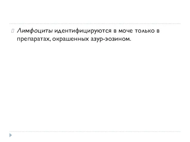 Лимфоциты идентифицируются в моче только в препаратах, окрашенных азур-эозином.