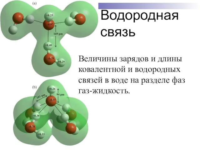 Водородная связь Величины зарядов и длины ковалентной и водородных связей в воде на разделе фаз газ-жидкость.