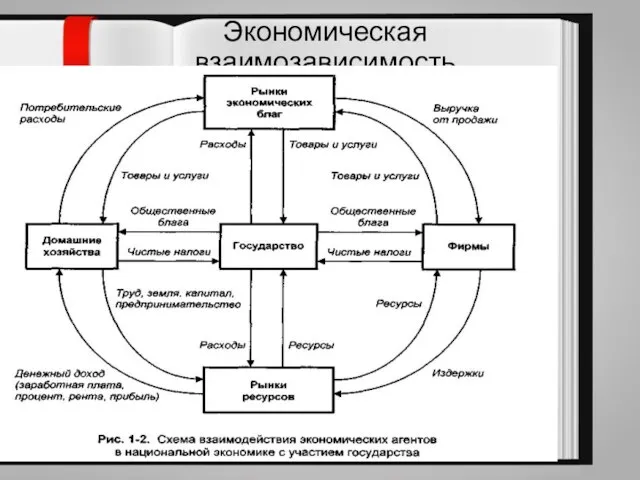 Экономическая взаимозависимость