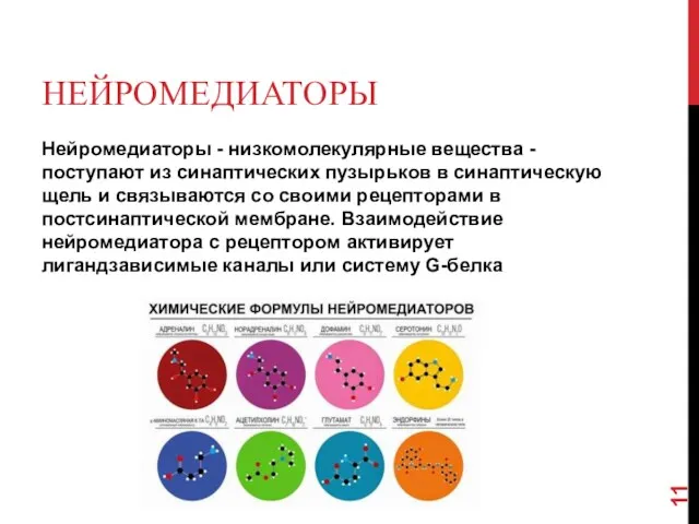 НЕЙРОМЕДИАТОРЫ Нейромедиаторы - низкомолекулярные вещества - поступают из синаптических пузырьков